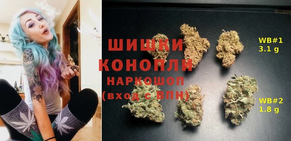 гидра Козельск