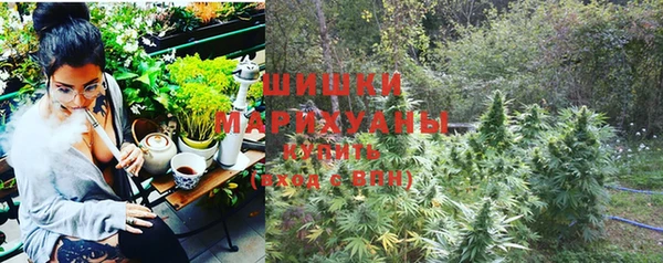 гидра Козельск