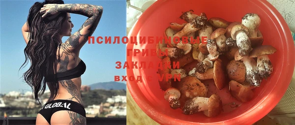 гидра Козельск