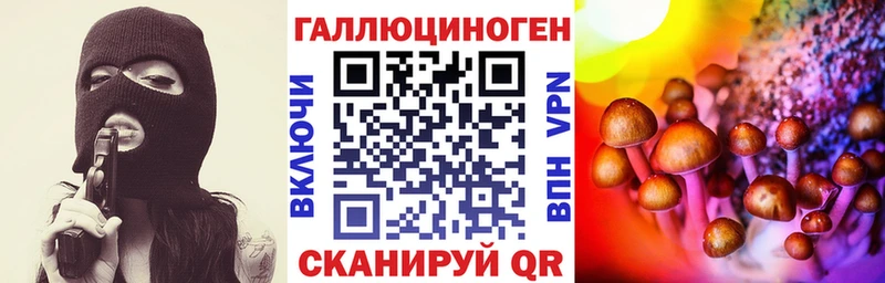 Псилоцибиновые грибы Cubensis  Купить где  Унеча 